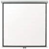 Eyeline® Manually Operated Projector Screens