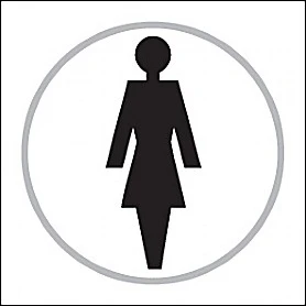 Braille Lady Symbol 1 Braille Lady Symbol