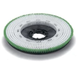 Numatic 550mm Polyscrub Brush 606028