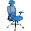 Ergo-Tek Blue Mesh Manager Chair