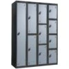 Black Carcass Premium Lockers With ActiveCoat