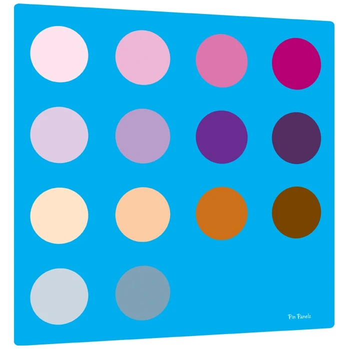 Pin Panelz Circles Noticeboards 1 Pin Panelz Circles Noticeboards