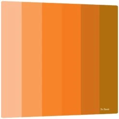 Pin Panelz Shades Noticeboards