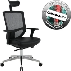 Eve 24/7 Ergonomic Mesh And Leather Task Chair 1 Eve 24/7 Ergonomic Mesh And Leather Task Chair