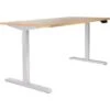 Scholar Electric Height Adjustable Desks
