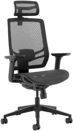 Ergo Curve Plus All Mesh Office Chair