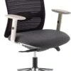 Flow Mesh Office Chair