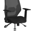 Cassis Mesh Office Chair