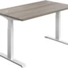 NEXT DAY Commerce II Height Adjustable Rectangular Sit-Stand Desks
